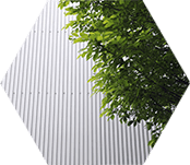 Wall of corrugated iron, greenery in the foreground.