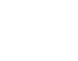 Hybrid Logotype